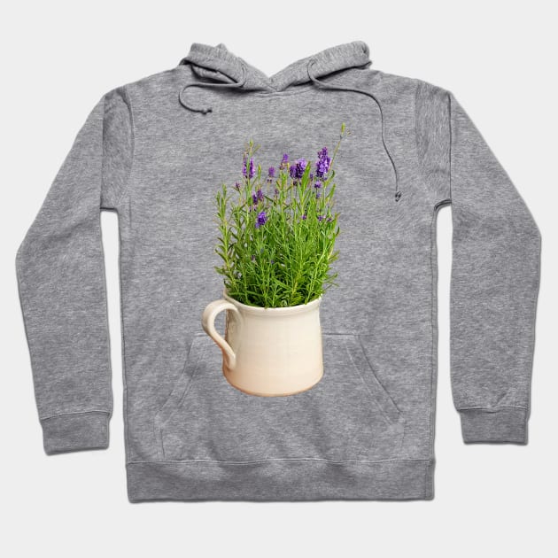 Lavender Plant in a Jug Photo Hoodie by ellenhenryart